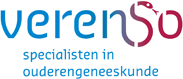 logo verenso