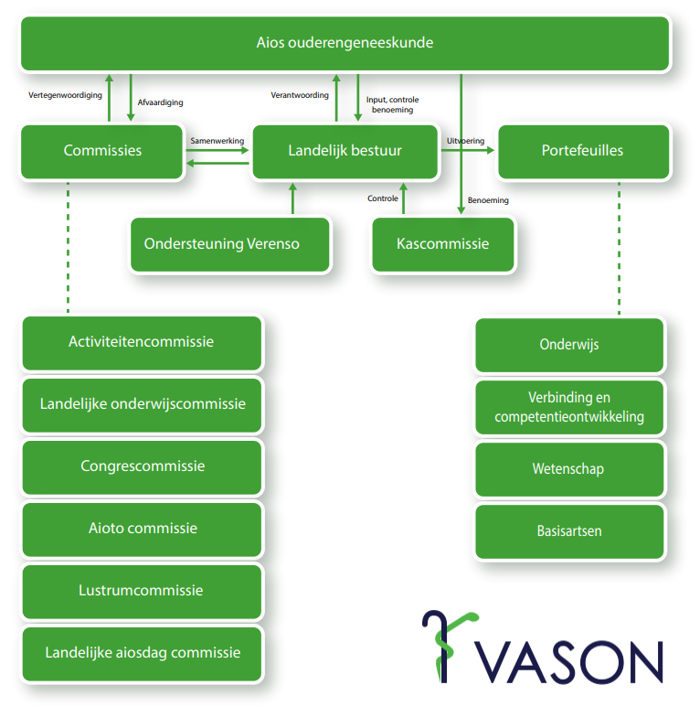 Vason organogram 2021